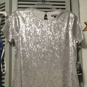 H&M Sequin Dress
